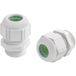 LAPP 53111427 Wartel M20 Polyamide Gris-blanc (RAL 7035) 1 pièce(s)
