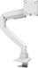 DESQ® Monitor Arm met Gasveer - Heavy Duty - Wit