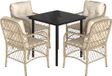 vidaXL 5-delige Tuinset met Kussens Poly Rattan Beige
