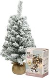 Merkloos / Sans marque Kaemingk B.V. Mini kerstboom - besneeuwd - H60 cm - met kerstverlichting - warm wit - kunstboom