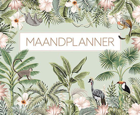 PaperStore Maandplanner 2025 - Spiraalgebonden, Softcover, 257x305 mm
