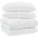 Icecat Duvet avec oreillers 3 pcs blanc microfibre et plumes d'oie