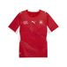 PUMA Tricot 'Schweiz 2026' rouge / blanc