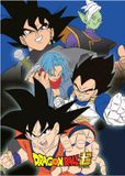 Toei Animation Plaid Fleece deken Dragon Ball Z
