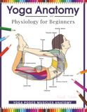 Yoga Anatomy and Physiology for Beginners: Yoga Poses Muscles Anatomy