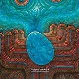 Sonic Rendezvous Hidden Trails Instant Momentary Bliss (CD)