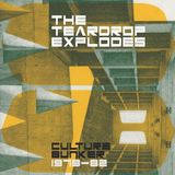 Culture The Teardrop Explodes Culture Bunker 1978 - 82 (7 LP) (Limited Edition)