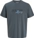 JACK & JONES PLUS - JJJADE TEE SS CREW NECK BF PLS Heren T-shirt