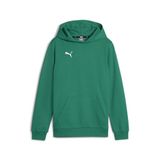 PUMA teamGOAL Casuals hoody-sweatshirt voor kinderen 658619 groen