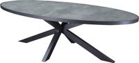 AVH-Collectie Ohio dining tuintafel ovaal 241x116xH74cm aluminium antraciet