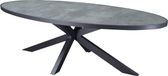 AVH-Collectie Ohio dining tuintafel ovaal 241x116xH74cm aluminium antraciet