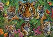Puzzle EDUCA - Puzzel - Tijger Jungle - 500 Stuks