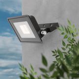 HOFTRONIC™ Stratos LED Breedstraler 10 Watt 735 lumen IP65 6500K Zwart 2 jaar garantie