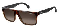 Carrera 5039/S 2OSHA Zonnebril - Heren - Bruin