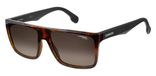 Carrera 5039/S 2OSHA Zonnebril - Heren - Bruin