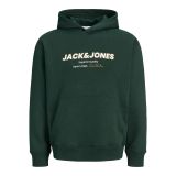 JACK & JONES Sweatshirt 'JJABBO' vert foncé / blanc