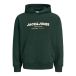 JACK & JONES Sweatshirt 'JJABBO' vert foncé / blanc