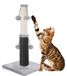 Carton poteau griffoir avec corde de sisal, jouets et une brosse d'auto-massage, 51 cm
