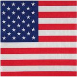 SANTEX - 20 papieren servetten Amerika 33 x 33 cm USA vlag