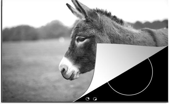 KitchenYeah® Inductie beschermer 77x51 cm - Close-up dwergezel - zwart wit - Inductie kookplaat accessoire