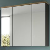 Xonox Spiegelkast Canu - Basaltgrijs - 80x73x21 cm