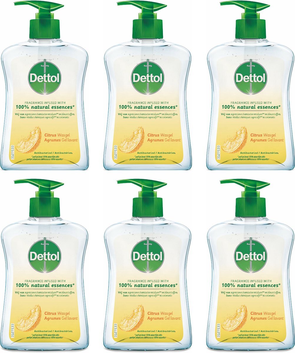 Dettol Handzeep Antibacterieel Citrus - Multi Pack - 6 x 250 ml