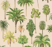 A.S. Création Palmboom Behang Botanisch Beige Creme Groen Geel Vlies 53 cm x 1005 cm