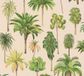 A.S. Création Palmboom Behang Botanisch Beige Creme Groen Geel Vlies 53 cm x 1005 cm