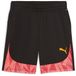 Puma Individualfinal Ff Kurze Hose Schwarz M