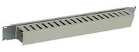 Triton RAC-VP-X02-A1 chemin de câbles 19 pouces (19 pouces), 1 U, gris clair
