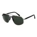 Botaniq Men's Sunglasses Botaniq MOD. BIS-7016 59006 Grey Lens Silver/Black Frame