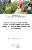Gestion Icecat Gestion durable et lutte intégrée contre les ravageurs et les maladies du maïs, de l’anacardier et du manguier en Casamance
