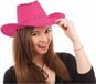 Merkloos Roze luxe cowboy hoed - 2x - Western thema verkleed accessoires - carnaval
