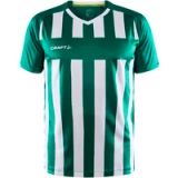 Craft Progress 2.0 Stripe Shirt Korte Mouw Heren - Groen / Wit | Maat: XXL