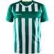Craft Progress 2.0 Stripe Shirt Korte Mouw Heren - Groen / Wit | Maat: XXL