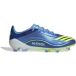 Adidas Voetbalschoenen F50 Messi Elite FG