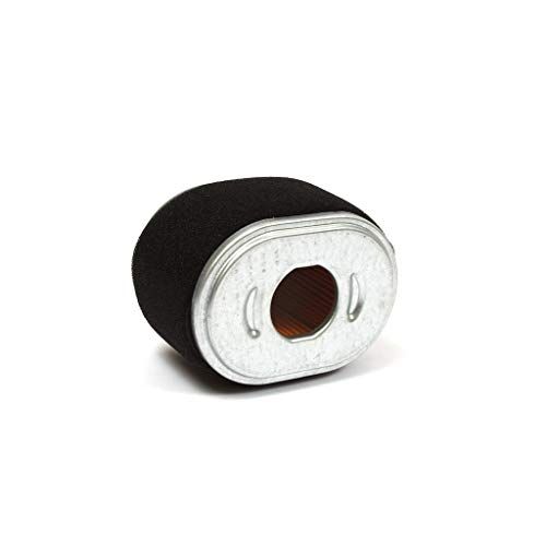 Briggs & Stratton Genuine Air Filter 590601