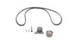 Tandriem/rollenset