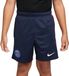 Nike Paris Saint-Germain Academy Pro Dri-FIT Shorts Kinderen Marine Polyester