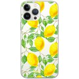 ERT GROUP mobiel telefoonhoesje voor Huawei P30 origineel en officieel erkend Babaco patroon Fruits 002