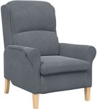 vidaXL Fauteuil Donkergrijs Fluweel