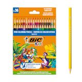 BIC 525788 Kleurpotloden uit hout, meerkleurig, 0,37, 36