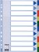 Esselte Tabbladen A4 11 Ring PP 10dlg - 10 stuks