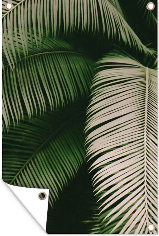 GreatGardenPosters Tuinposter - Palmboom - Palmblad - Tropical - 60x90 cm - PVC - Buitenposter
