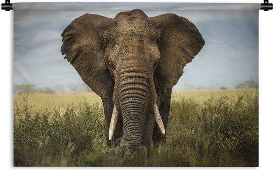 1001Tapestries Wandkleed Olifant - Natuur - Gras - Dieren - Landschap - 180x120 cm - 1001Tapestries