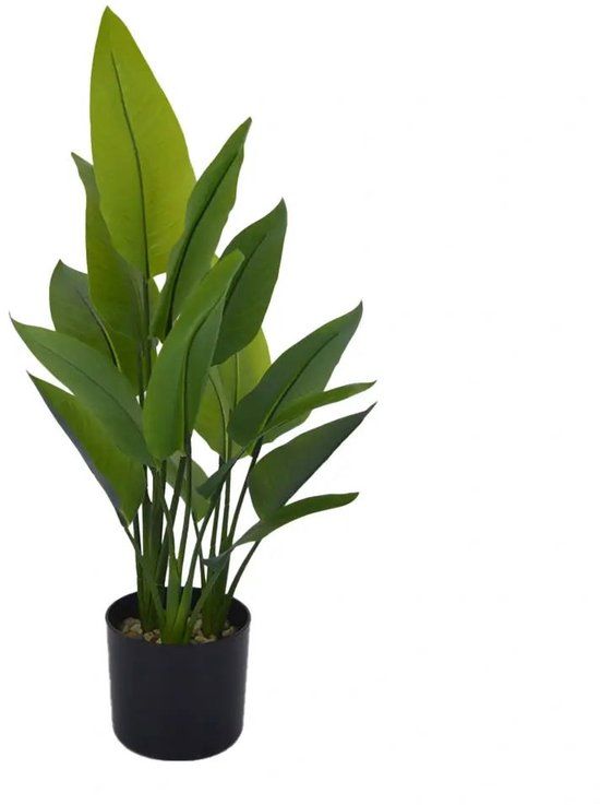 Buitengewoon Boet Buitengewoon de boet Strelitzia 70 cm kunstplant