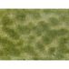 07253 NOCH 07253 Bodembedekker Landschap bouw Groen, Beige
