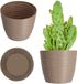 KADAX Bloempot van kunststof, diameter 11 - 19 cm, 7 kleuren, eenvoudige plantenpot, moderne plantenbak, robuuste bloempotbescherming, ronde pot (⌀ 11 cm, beige)