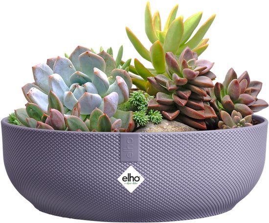 Elho Jazz Bowl 28cm Lavendel Lila