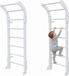 Monkey-Gym Klimrek Mini wit